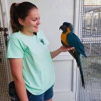 Allison Dodge's profile image