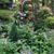 Pamela Mary Bosse's profile image