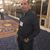 Sobhy Abdelhady's profile image