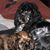 Lyn Levine's profile image