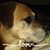 Tammy Khoury's profile image