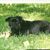 Kathy Kelley's profile image