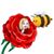 Nancy Kirkman's profile image