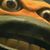 Justin Davis's profile image