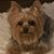 Tamara Pearsall's profile image