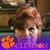 Brenda Stancil's profile image