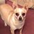 Cindy VanZile's profile image