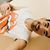 Alejandro Álvarez's profile image