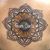 Carol Lindmeier's profile image
