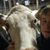 Tayton Hollgarth's profile image
