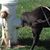 Jennifer MacVicar's profile image