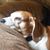 Brittany Moats's profile image