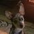 Gabe Percich's profile image