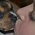 Pamela Sue Rush's profile image