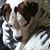 Leah Recknor's profile image