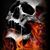 Jesse Flores's profile image