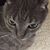 Lisa Bradway's profile image
