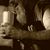 Joey Cissell's profile image