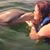 Jaymie Bolduc's profile image
