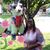 Vanetta Wright's profile image