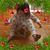 AB Sykes's profile image
