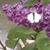 Jen Widdison Baca's profile image