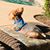 Carol Wayne Crane's profile image