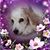 Amy Beth's profile image