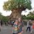 Brandy Yeager Gorum's profile image