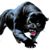 Negra Cornejo's profile image