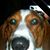 Rick Buisson's profile image