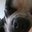 Fabo Guerra's profile image