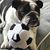 Michele Jones's profile image