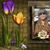 Anita Cadena's profile image