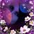 Dorah Evans's profile image