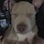 Wendy Launius's profile image