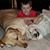 Kristy Eisenschink's profile image