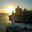 Sylvia Brown's profile image