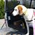 Bruce Nolte's profile image