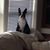 Jeanne Mayes Castelli's profile image