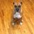 Michele Nobile's profile image