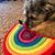 Amanda Parish's profile image