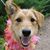 Robin Bergner's profile image