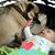 Cindy Stein Krozser's profile image