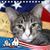 Janis Lewis's profile image