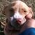 Tink Cash's profile image