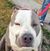 Robin Caselman's profile image
