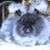 Terry Kunst's profile image
