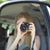 Jenny Willoughby's profile image