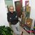 Ricardo Henrry Terrones Mayta's profile image